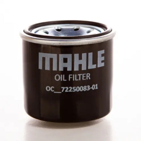 FILTRO DE ACEITE 4T FL/CROM Calle Lima 51