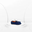 Zapatillas Casual de moda Azul marino Estampado de ancla