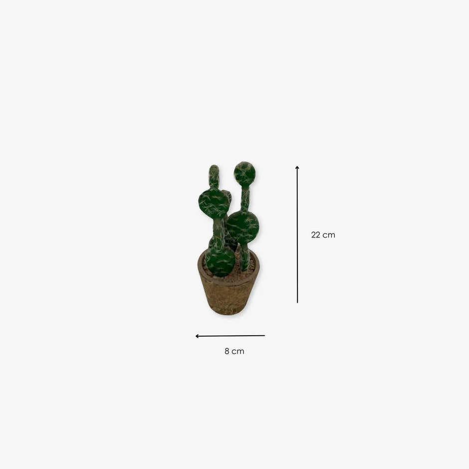 Planta de Cactus de plástico para adorno