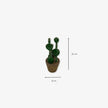 Planta de Cactus de plástico para adorno